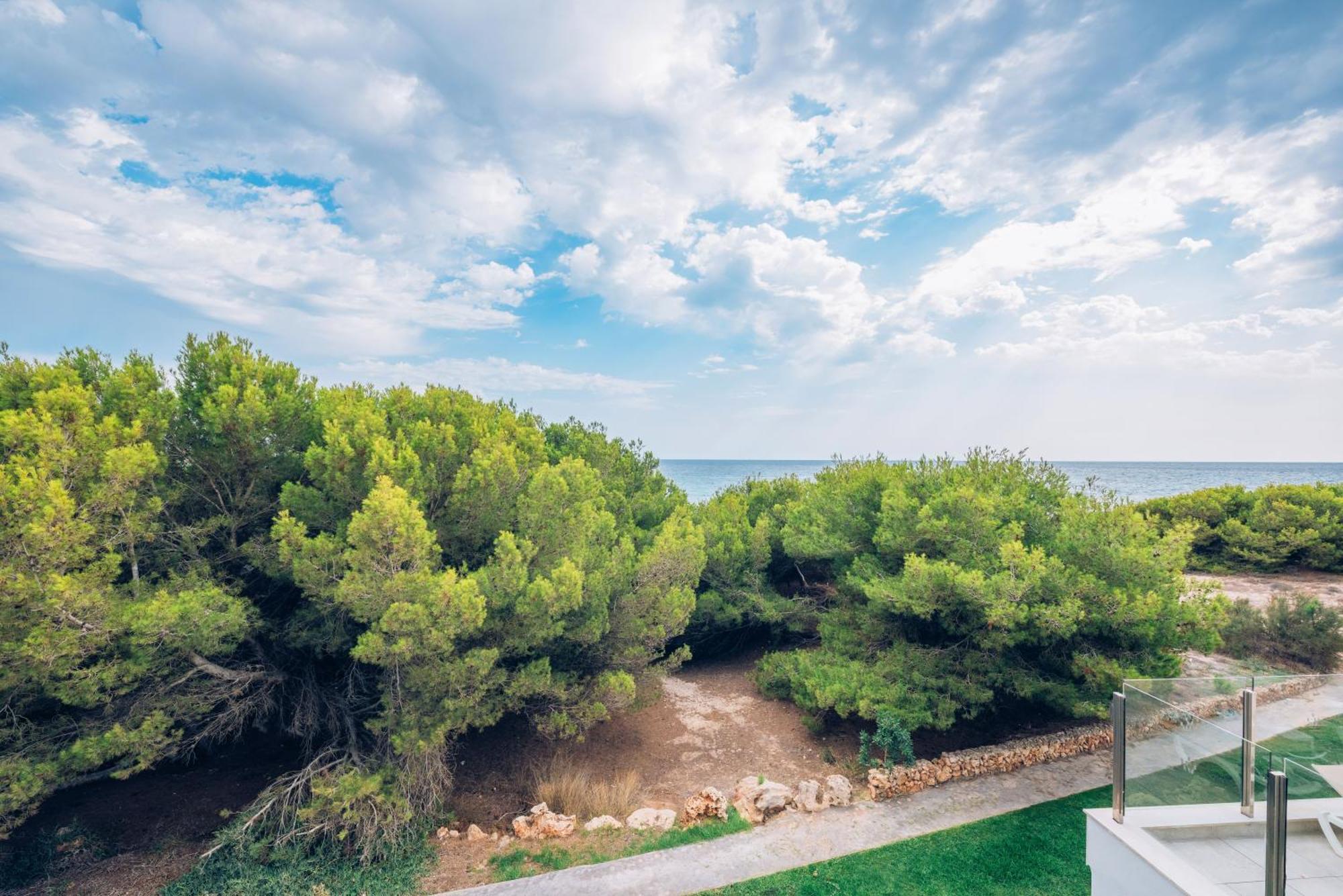 Double or Twin Room Garden View