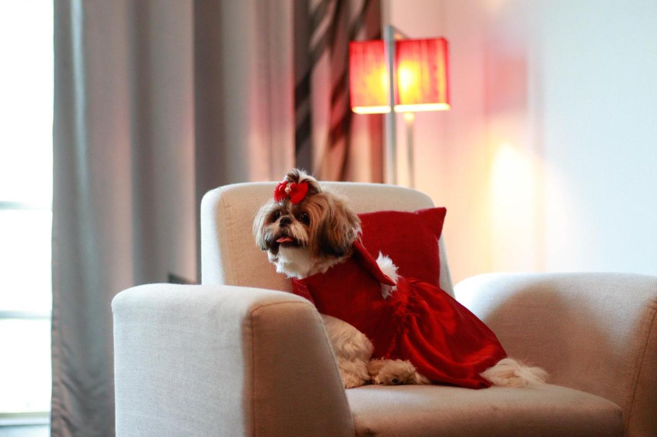 Pet Friendly Studio Suite with Living-cum-bedroom, Kitchenette and Premier Lounge access - 20% Discount on Food & Beverage and Laundry,1717083314:JPEG