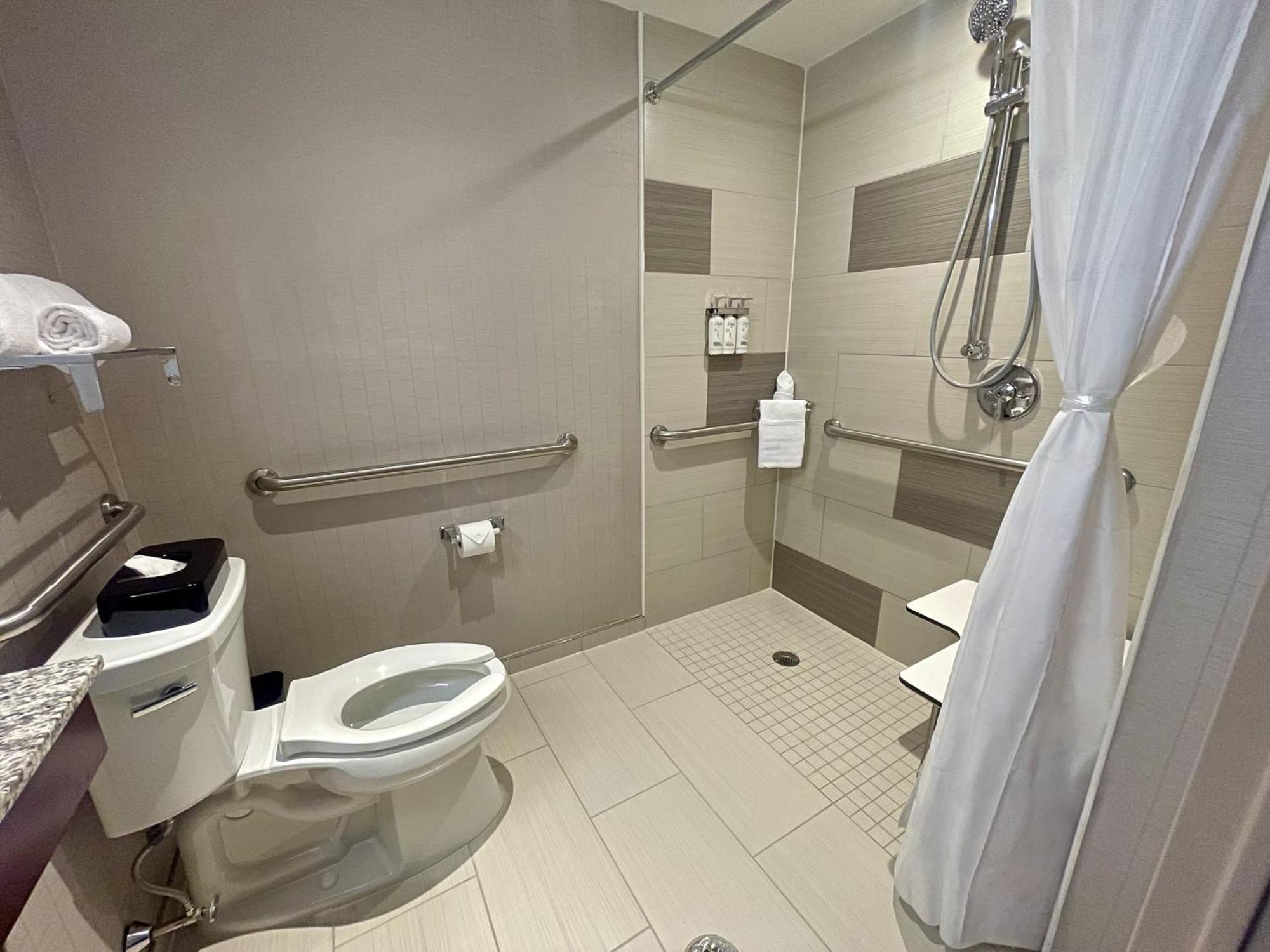 King Room Hearing Accessible Roll Shower
