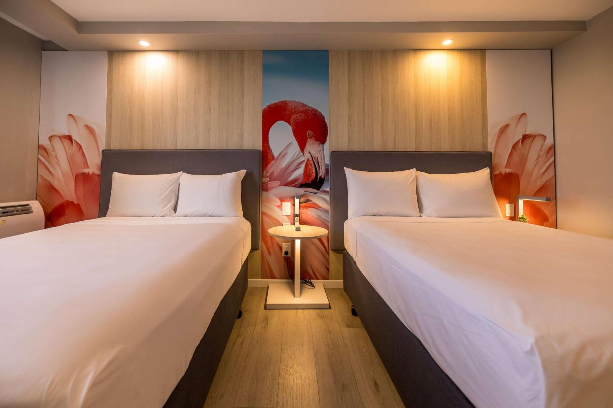 Premier Double Room Two Double Beds
