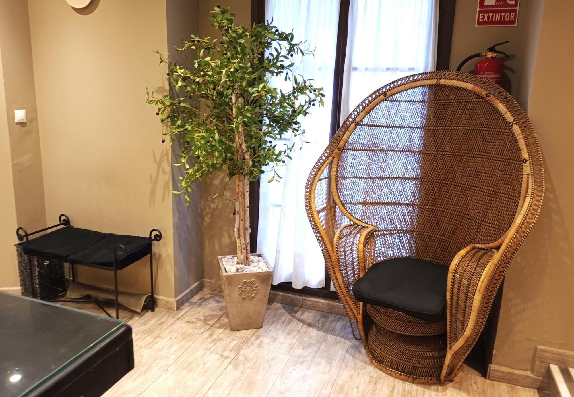 Basic Double Room