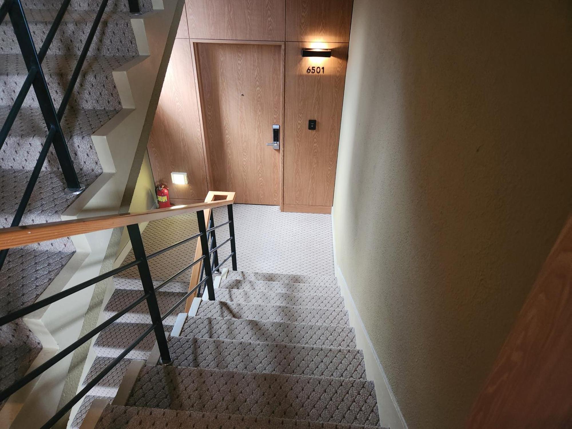 Studio (Beperkt Uitzicht)