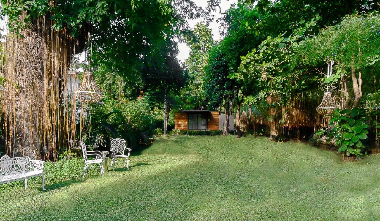 Garden Suite