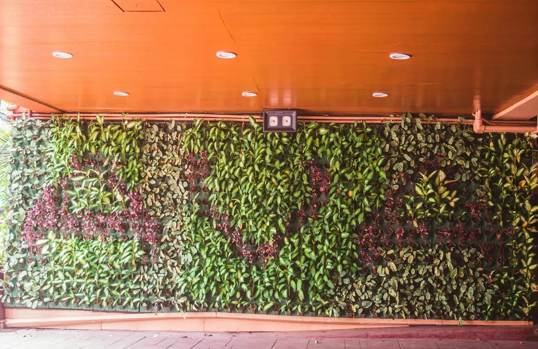 Hotel Ava Malate-1