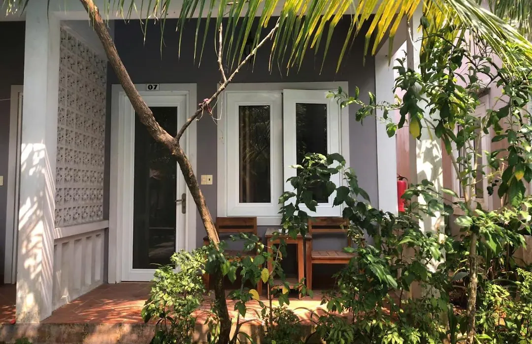Gecko House-1