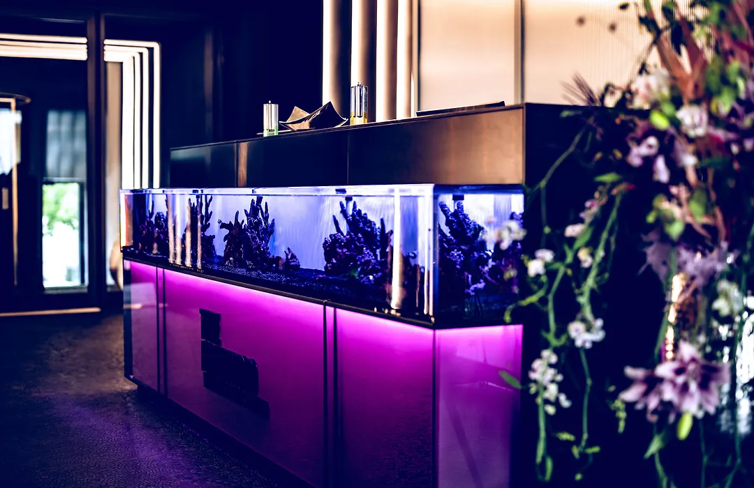 The Flamingo-1