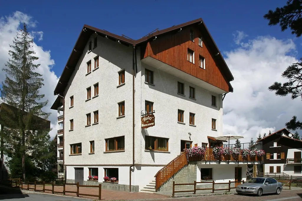 Hotel Biancaneve-1