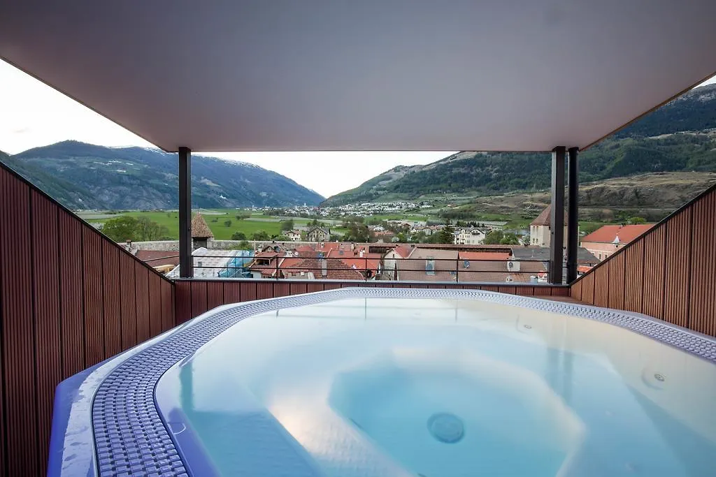 Hotel Gasthof Gruener Baum-1