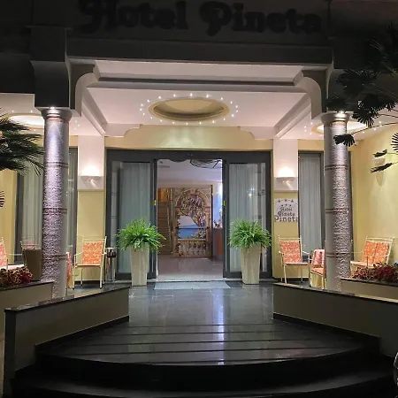 Hotel Pineta-3