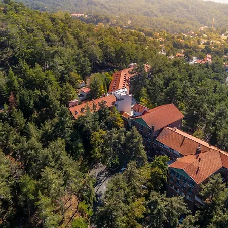 Forest Park Hotel-2