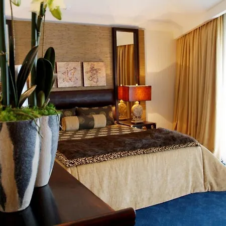 Hotel Moliceiro-3