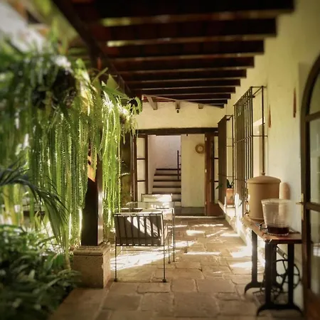 Cacao Boutique Hotel-2
