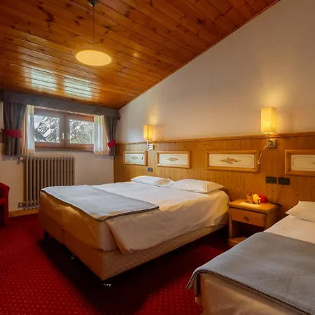 Hotel Vallée Blanche Courmayeur-3