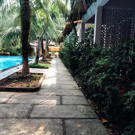 Gecko House-3