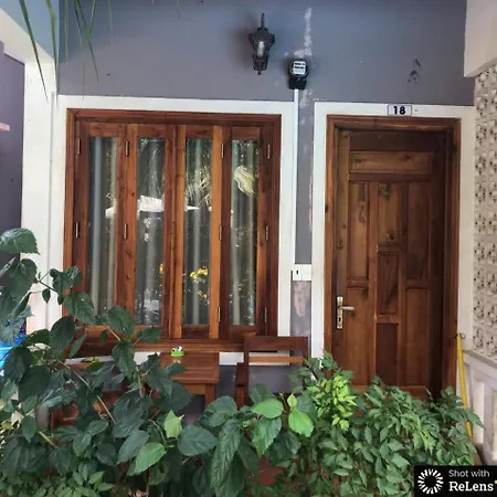 Gecko House-2