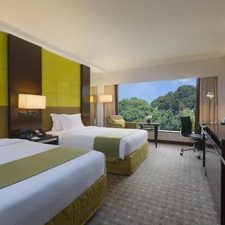 Holiday Inn Singapore Orchard City Centre By Ihg-3