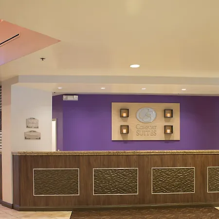Comfort Suites Maingate East-3