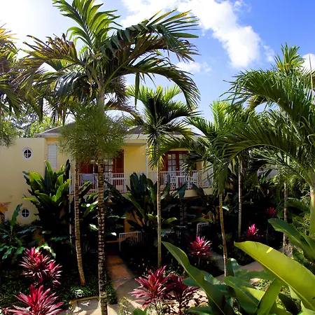Negril Palms-2