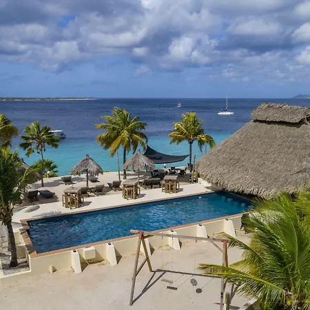 Buddy Dive Resort-3