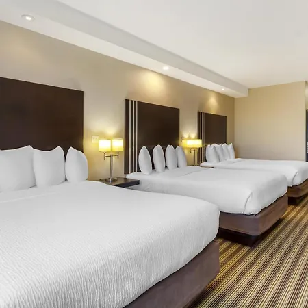 Best Western Plus Sherwood Park-3