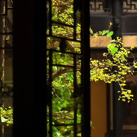 Buddha Zen Hotel-3