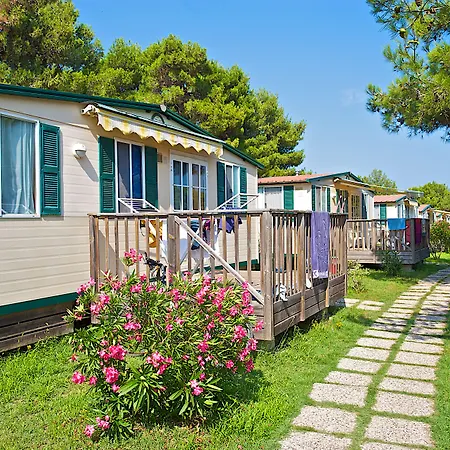 Arena Stupice Camping Homes-2