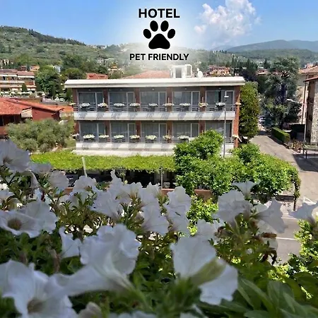 Hotel Benaco Garda ***S-2
