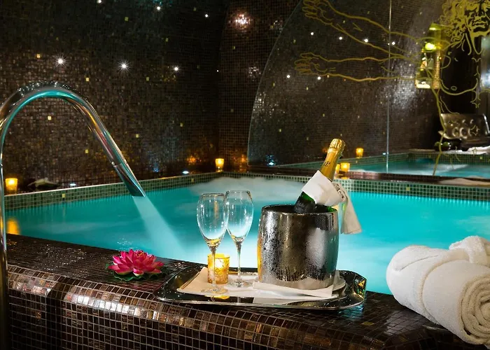 Hôtel accueillant les animaux: Hôtel Da Vinci&Spa