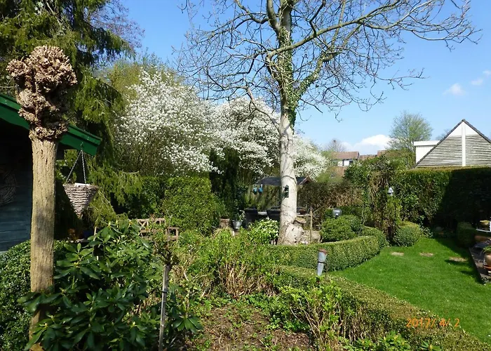 Wiersse 68