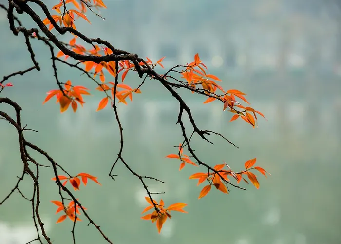 Hotel with Tennis: Hanoi Center Silk Hotel & Travel