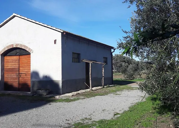 Monte Alzato