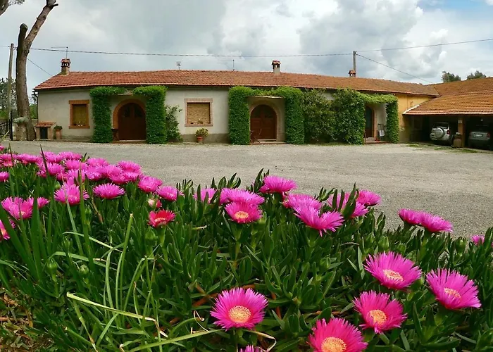 Monte Alzato