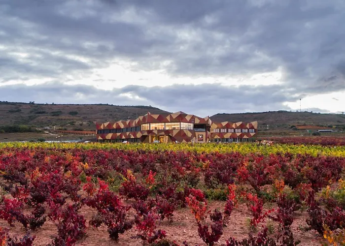  Bodega FyA - GRUPO PIÉROLA