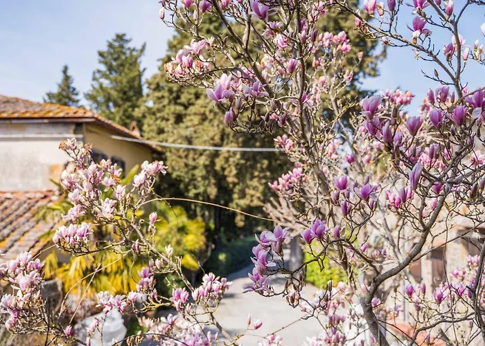  La Magnolia