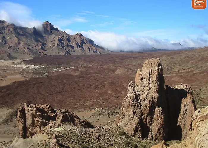 Hotel de 3 estrellas: Hotel Adonis Plaza