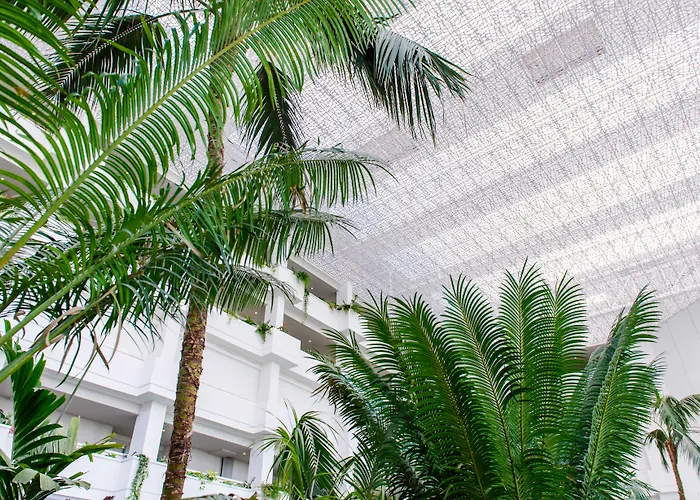 Hotel céntrico: Spring Hotel Vulcano