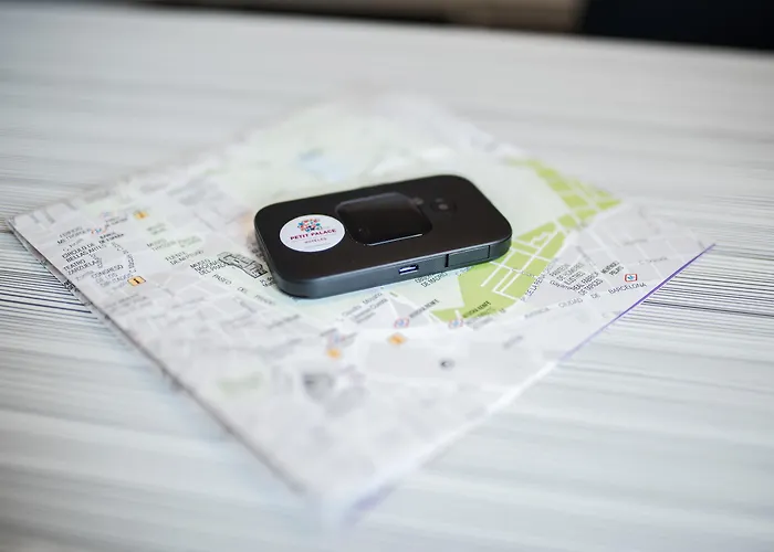 Huisdiervriendelijk hotel: Petit Palace Puerta Del Sol