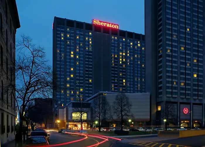 Animaux admis Sheraton Boston