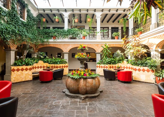 Hotel que admite mascotas: El Carmen Hotel