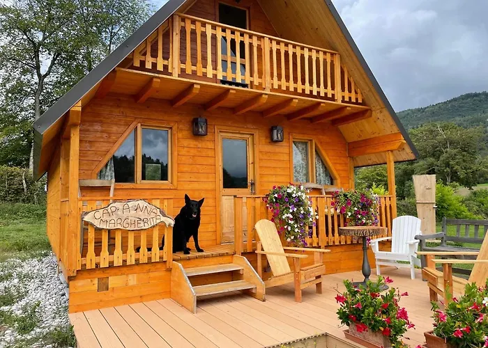 Appartamento : Agri Camp Dolomiti