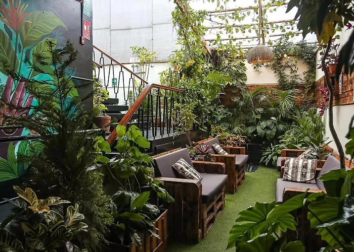 Albergue: Black Llama Hostel Miraflores