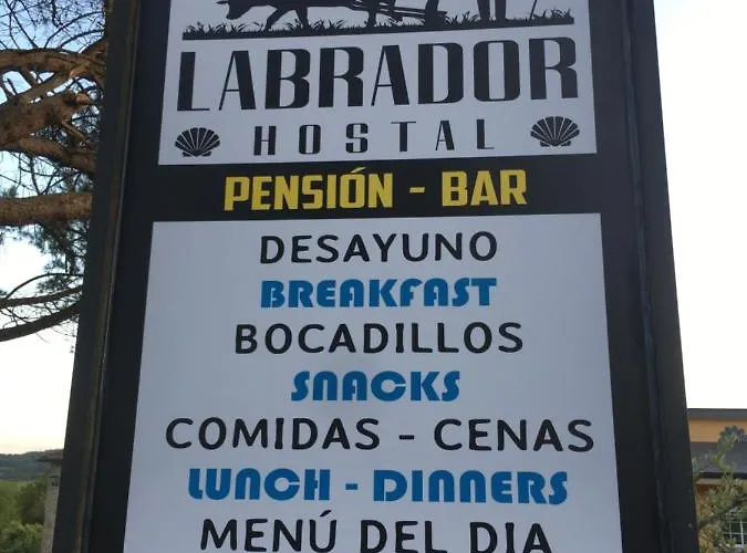 Hotel que admite mascotas: Hostal O Labrador