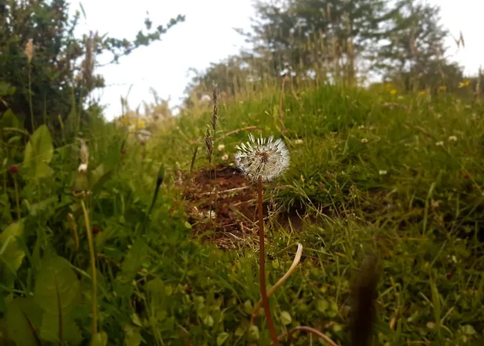 Hotel boutique: Hotel Tierra del Fuego