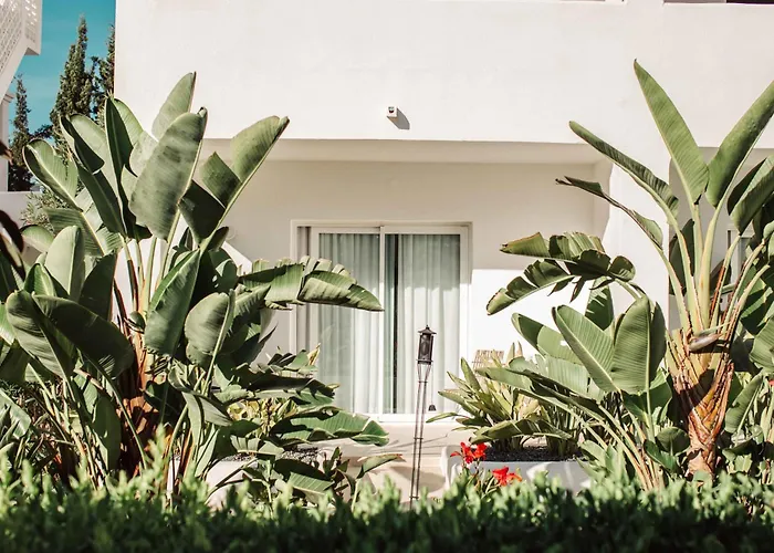 Hotel Boutique & Spa Las Mimosas Ibiza (Adults Only)