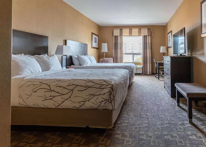 Best Western Plus South Inn & Suites
