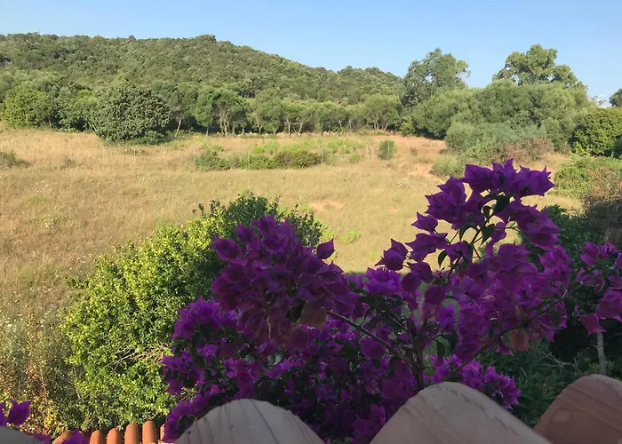 Casa vacanza: Residence Pinnetta Cala Bitta