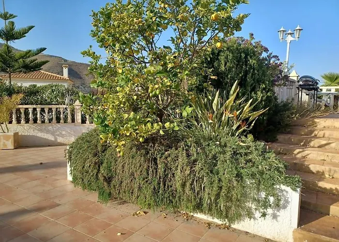 Casa Los Olivos, With A Pool