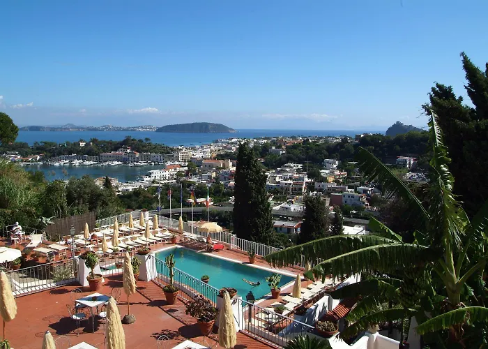 Pet Friendly hotel: Hotel Don Pedro