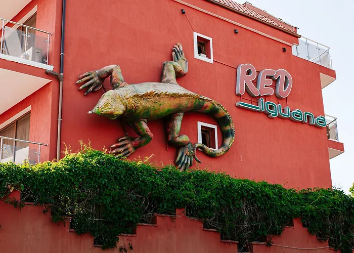 Red Iguana