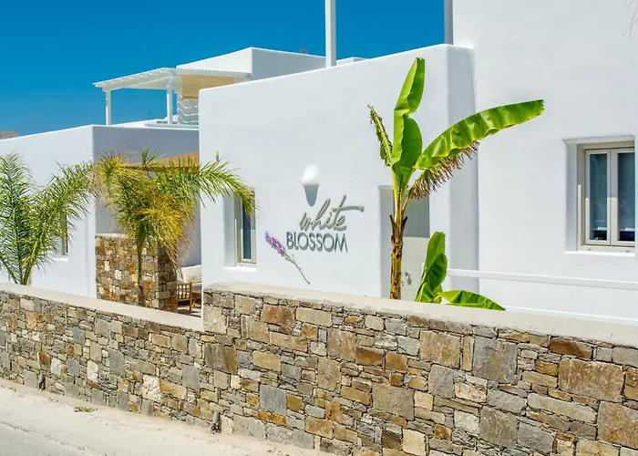 Family Hotel: White Blossom